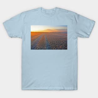 Wallops Wood Sunrise, December 2022 T-Shirt